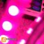 ریسه ال ای دی شلنگی چند رنگ تراکم ۶۰ RGB لوپ لایت
